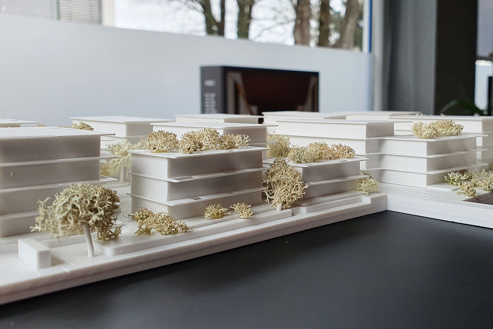 Wohnbau Bachstrasse für  HÖ von Jürgen MATZER Architekten