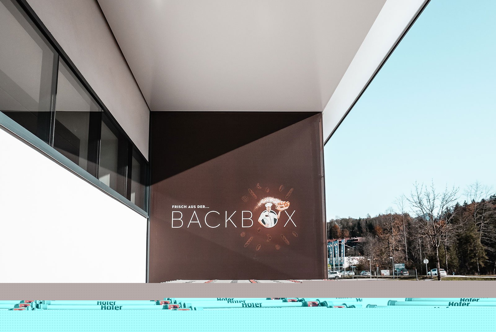 Hofer CI Entwicklung 2012